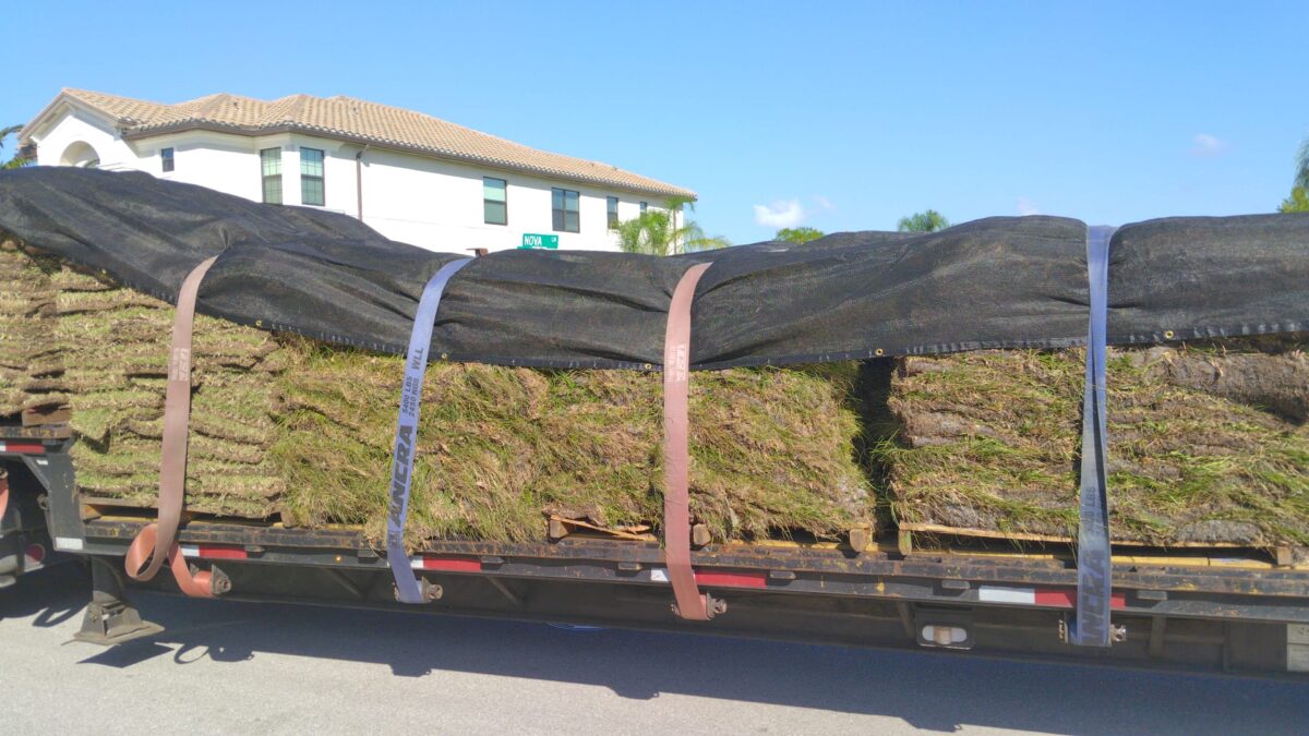 Sod delivery or installation image