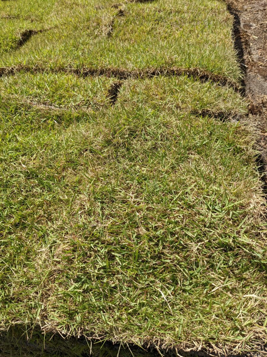 Representative Sunshine Sod installation photo
