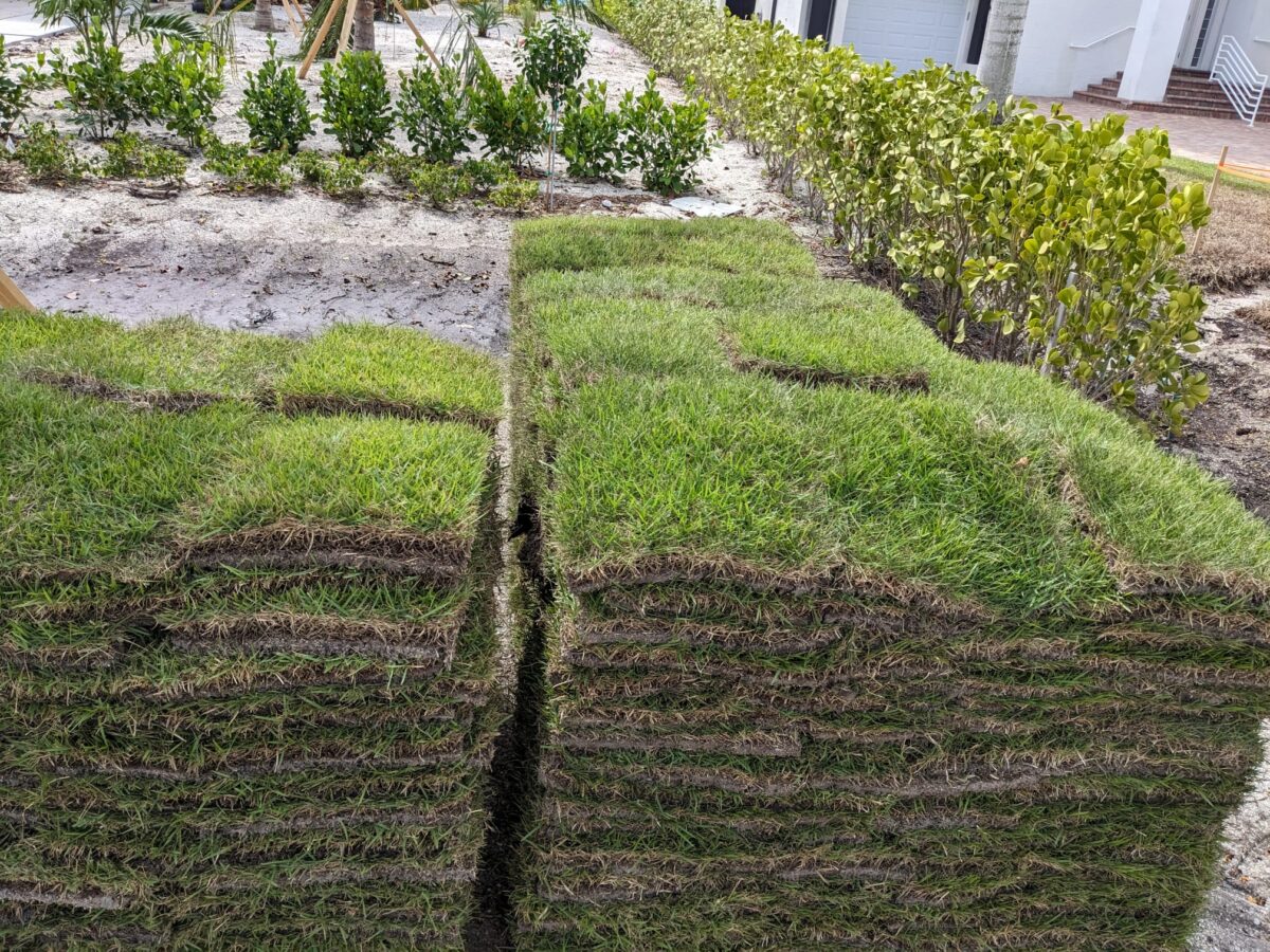 Authentic Sunshine Sod job completed in Venice