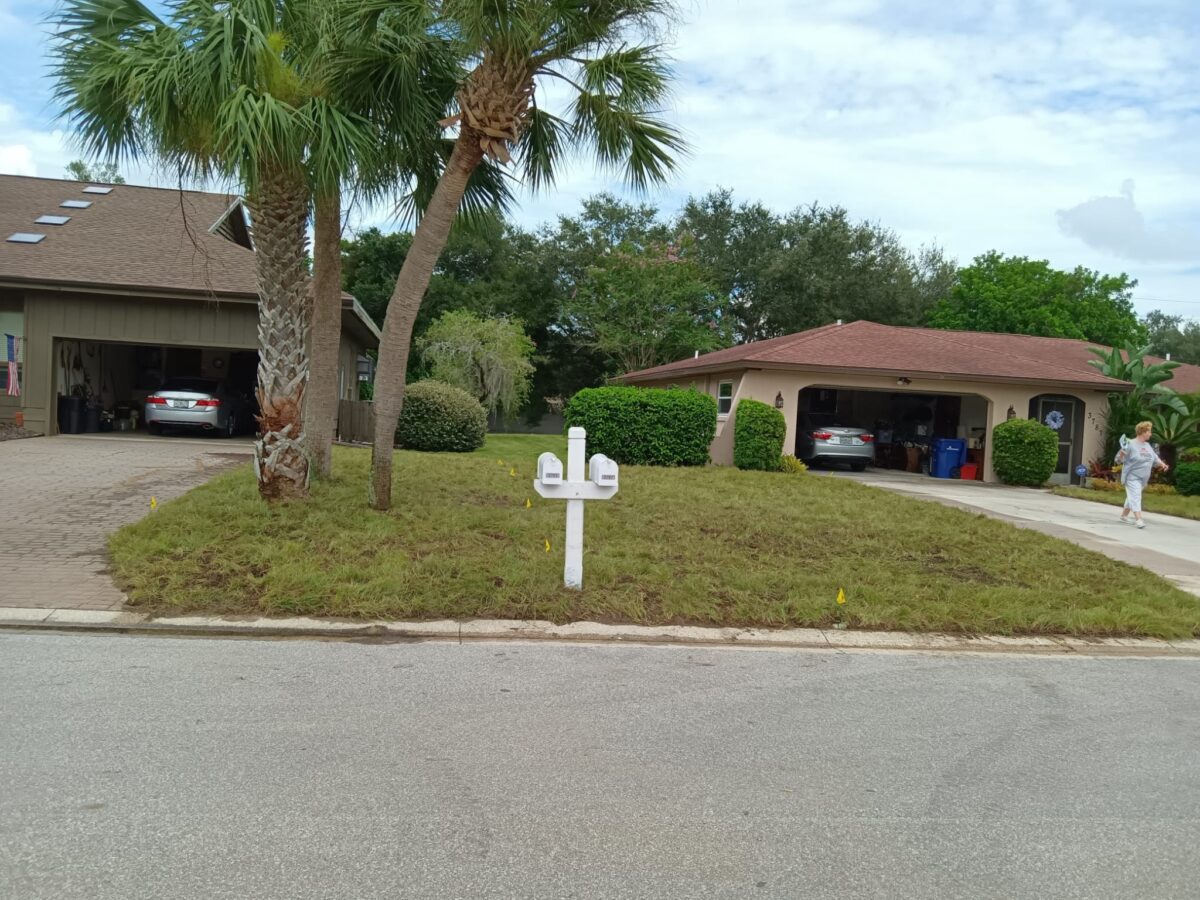 sod installation for Sarasota home