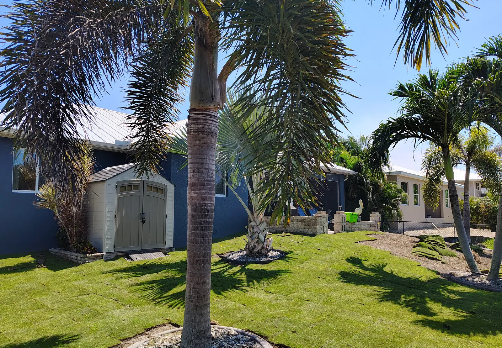 Completed SeaScape seashore paspalum lawn at a coastal Bokeelia property