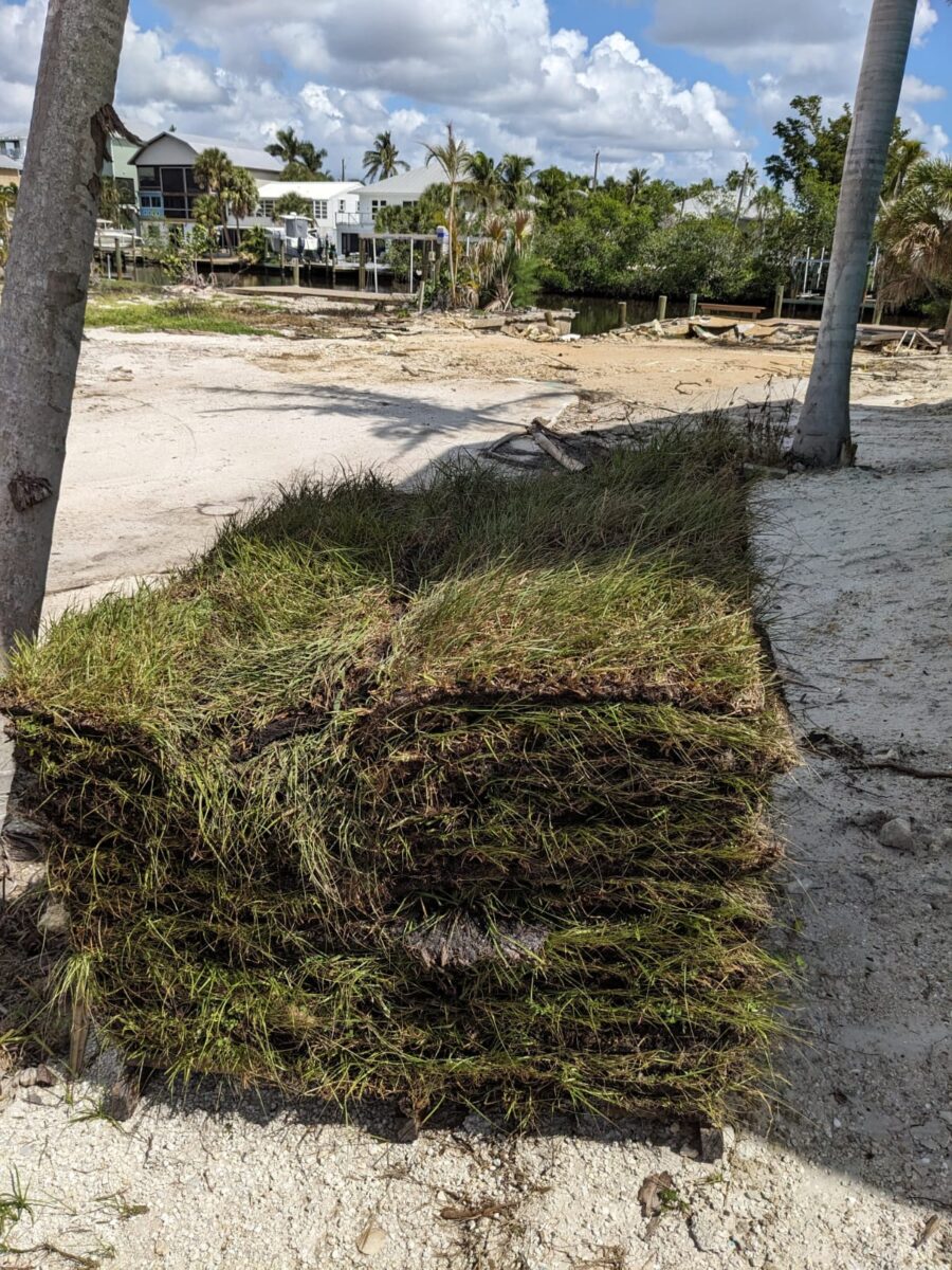 Pallets of fresh sod for a coastal Southwest Florida lawn replacement project