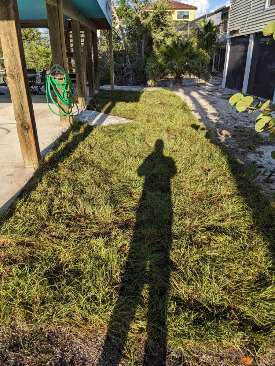 bonita beach sod installation project
