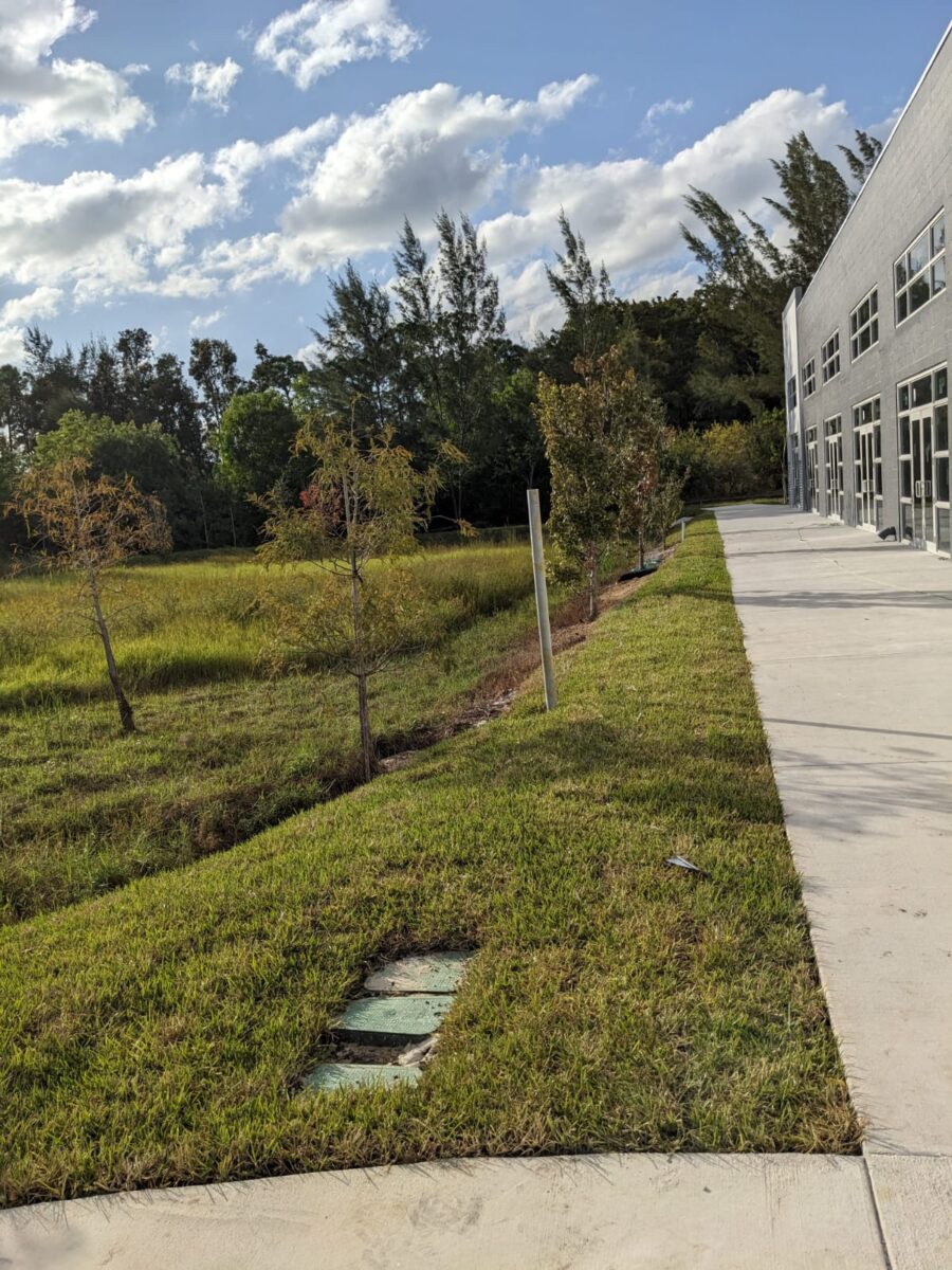 bonitaspringsfloratamsod