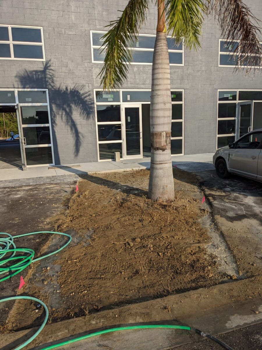 bonitaspringsfloratamsodcommercialsuneshinesodinstallation