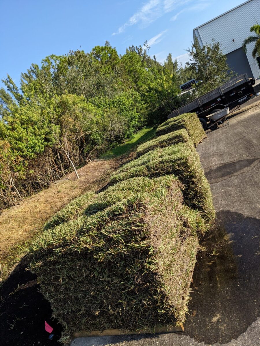 bonitaspringsfloratamsodgrass
