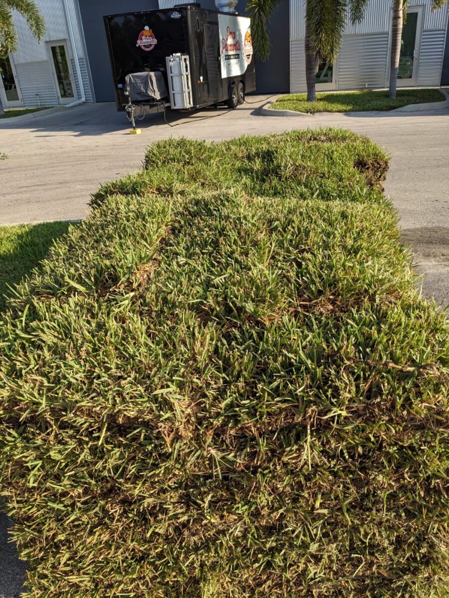 bonitaspringsfloratamsodgrasspallets