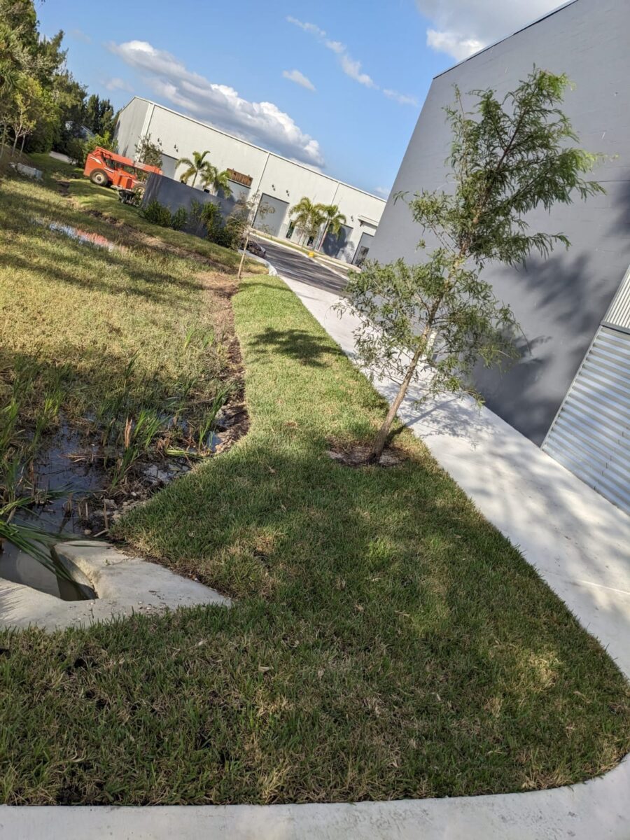 bonitaspringsfloratamsodinstall
