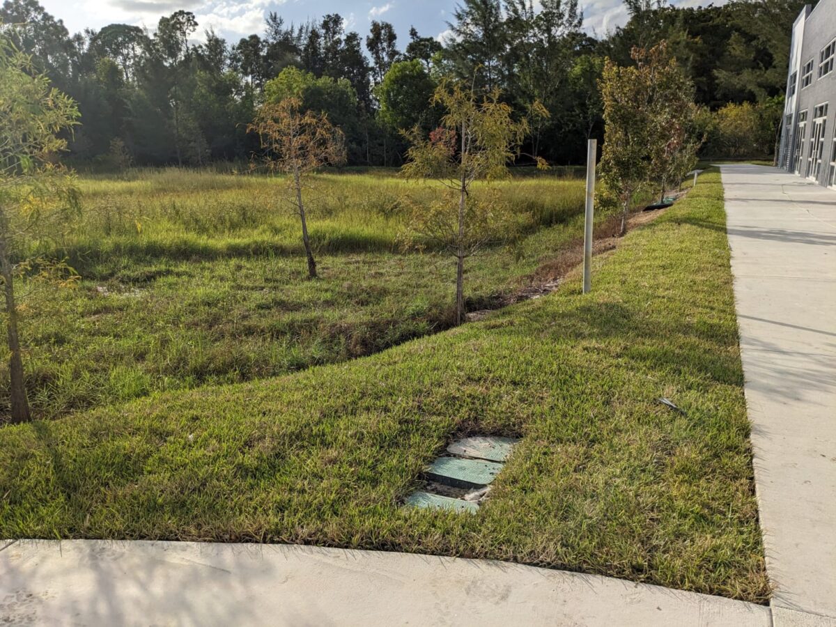 bonitaspringsfloratamsodinstallation