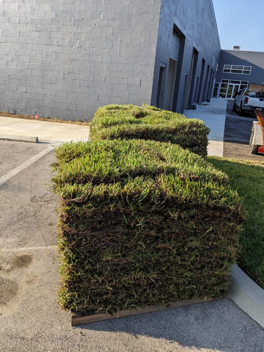 bonitaspringsfloratamsodpallet