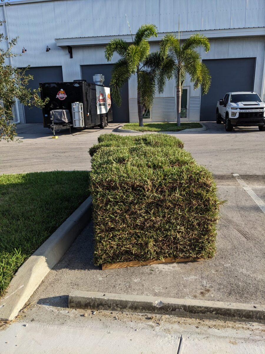 bonitaspringsfloratamsodpallets