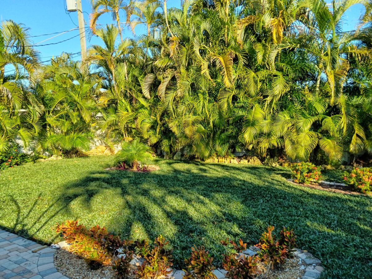 Bonita Springs Sod Installation Project 4