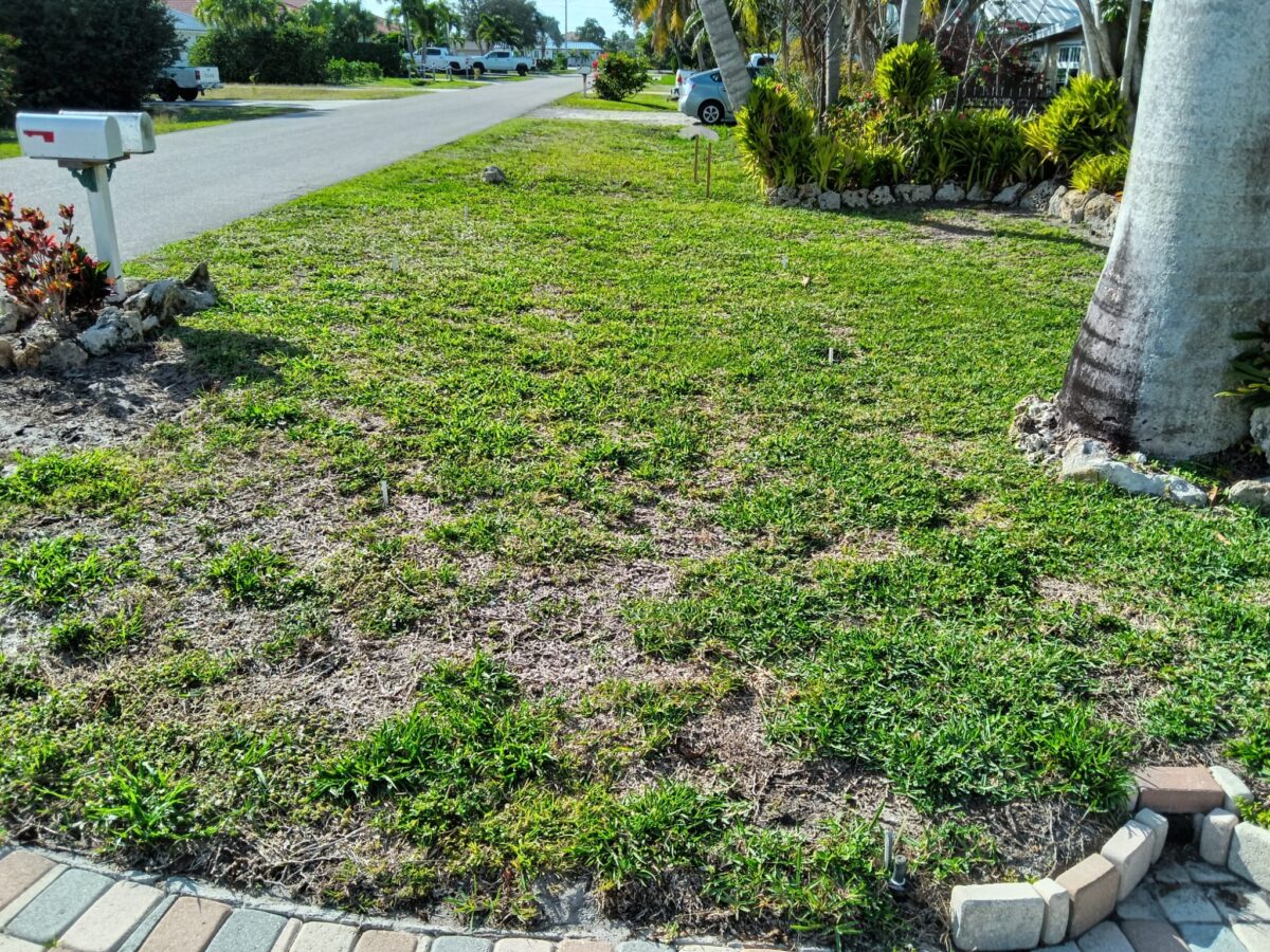 Bonita Springs Sod Installation Project Before Picture 2