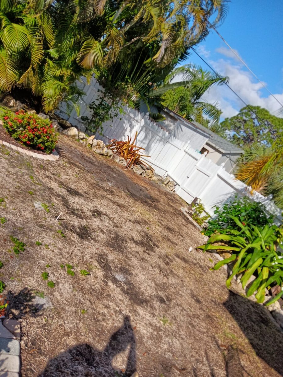 Bonita Springs Sod Installation Project Before Picture 3