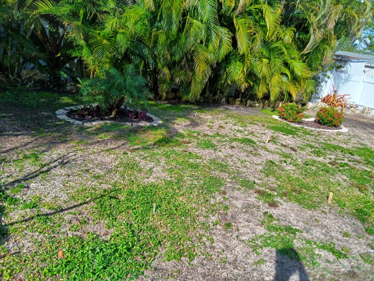 Bonita Springs Sod Installation Project Before Picture 4