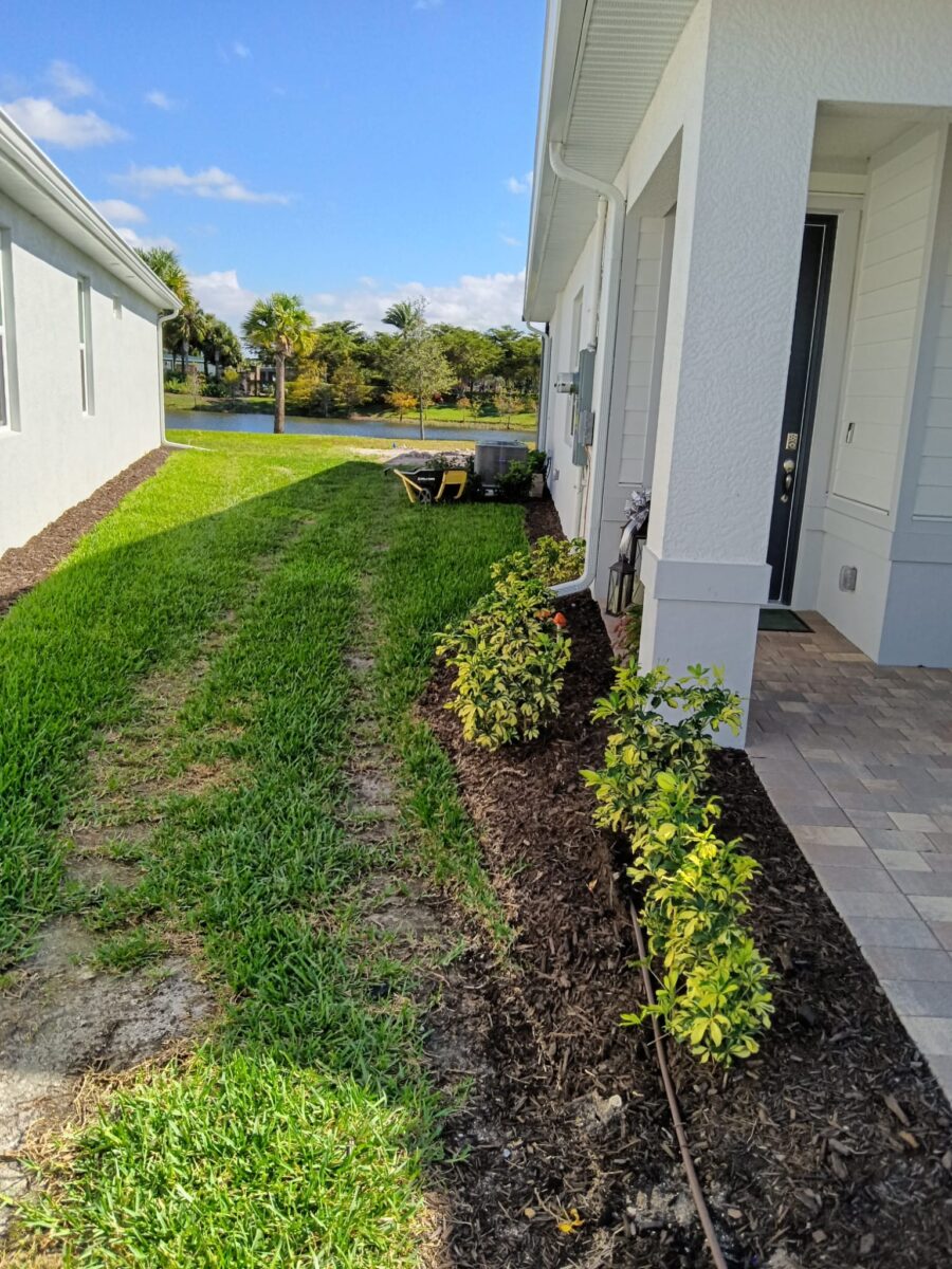 Bradenton lawn