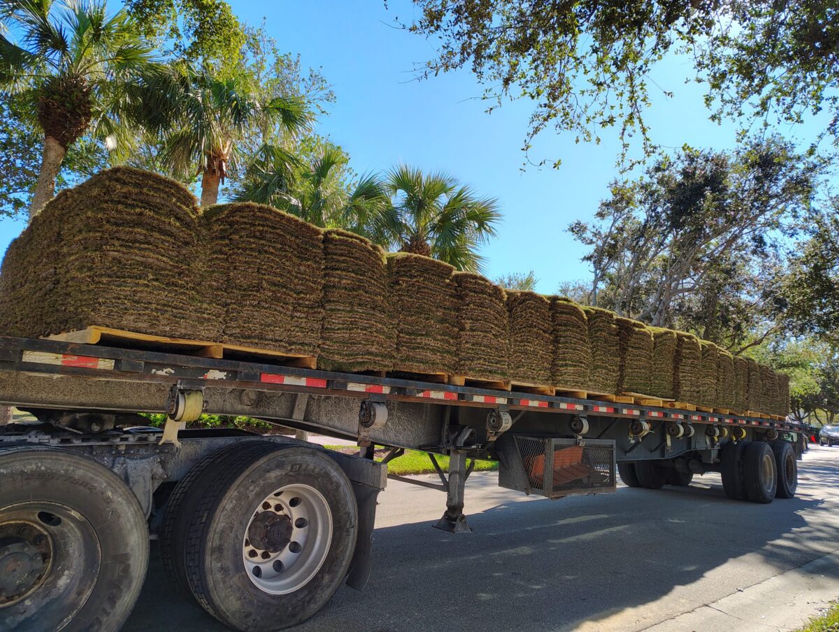 sod pallets on a truck for golf course