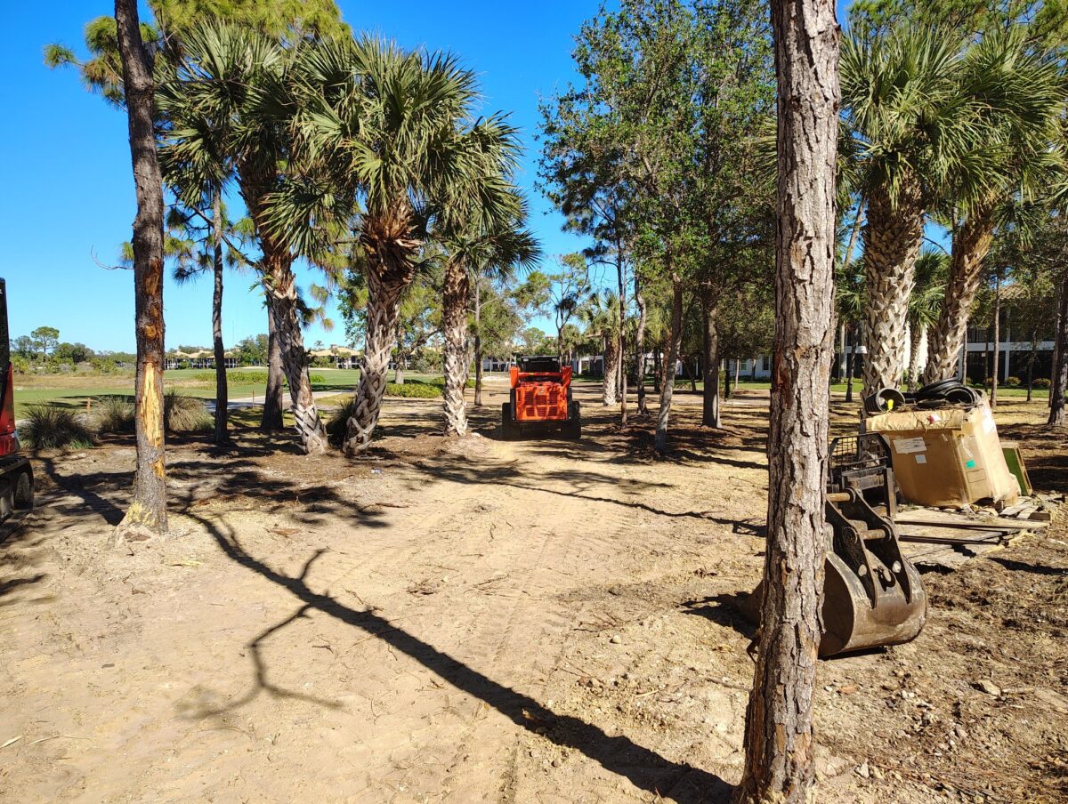 golf course sod project