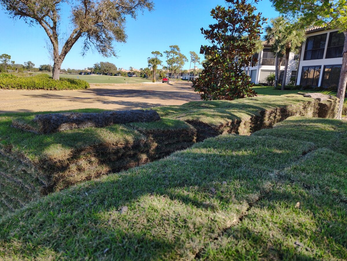 sod project for golf course