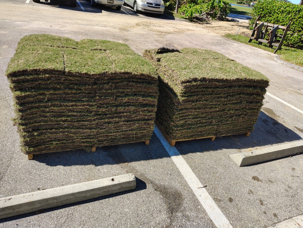 pallets of sod for golf course project