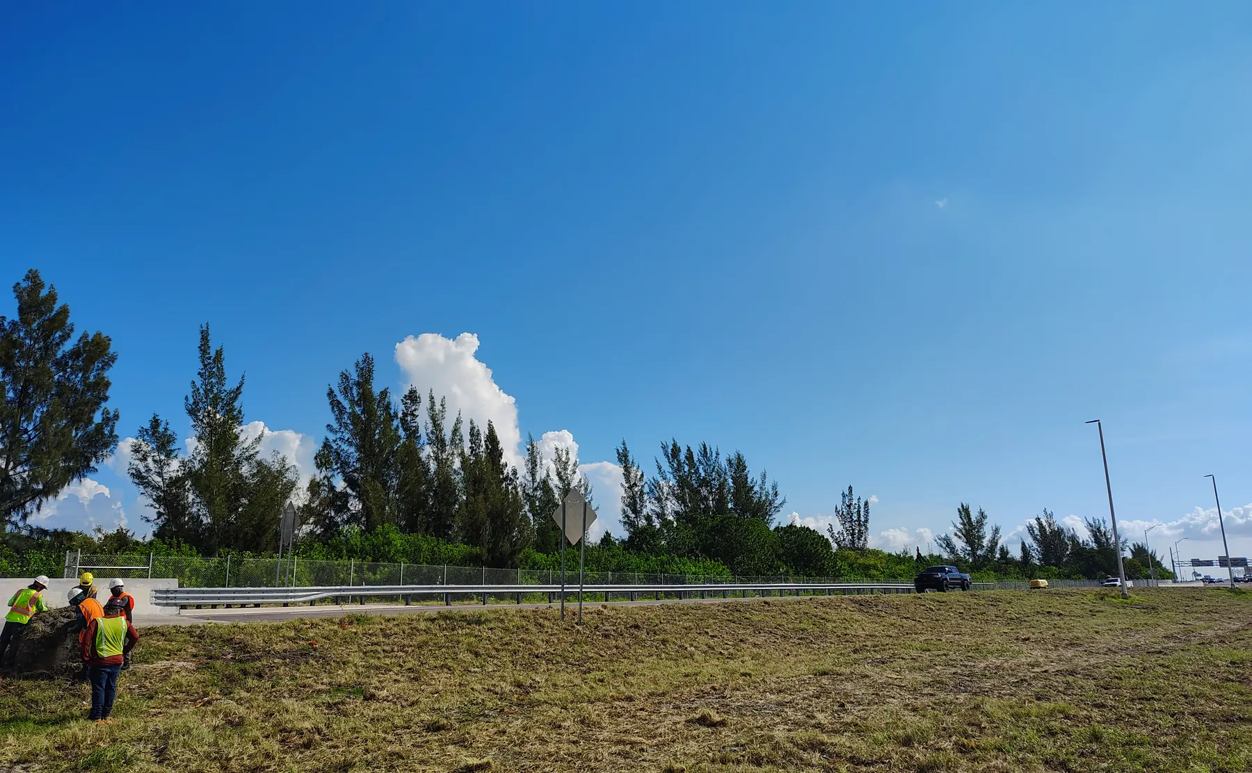 Large roadside area covered with newly installed Bahia sod near Tampa Bay