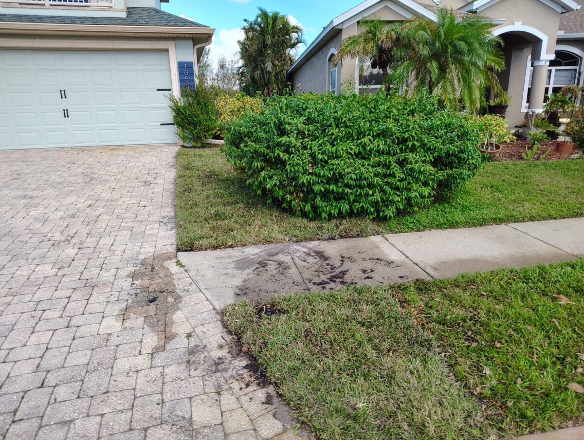 sod replacement for Lakewood Ranch home