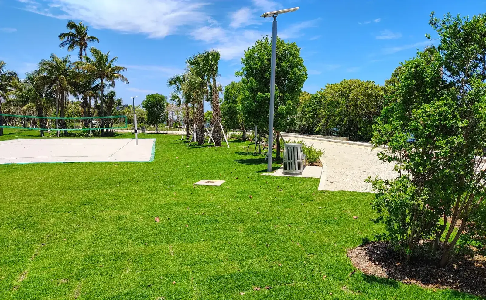 Finished turf beside the volleyball courts at Morningside Park in Miami