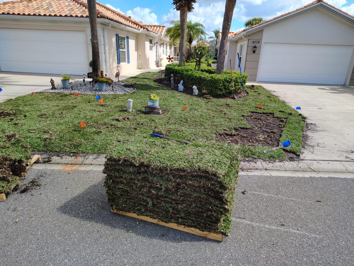 pallet of sod for lethal viral necrosis replacement