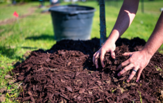 Mulch prepared for a Florida landscaping project