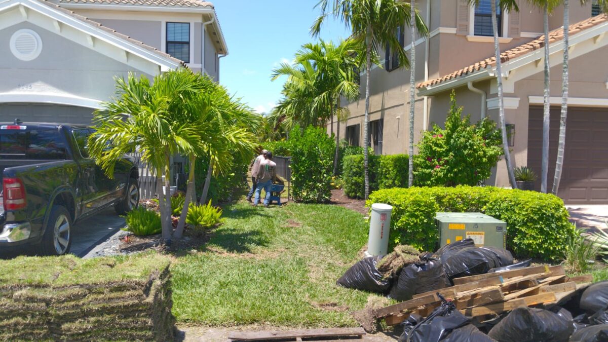 Fresh flat slab sod installation for a Naples Florida residential lawn by Sunshine Sod