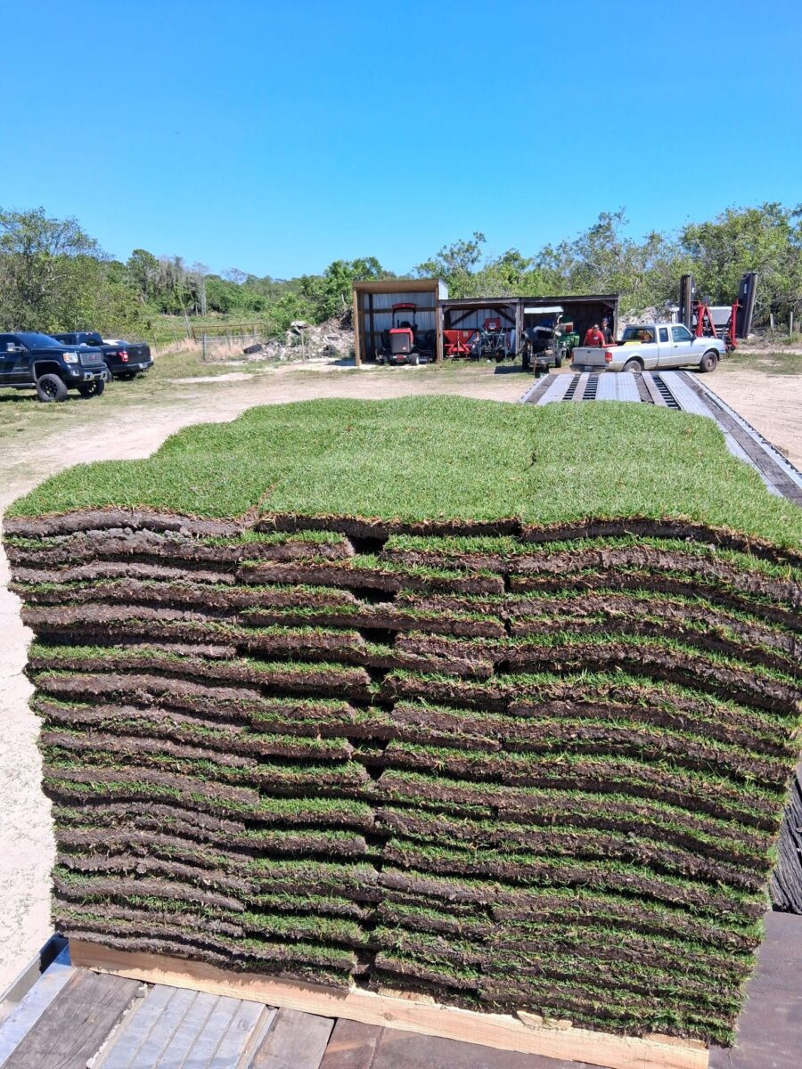 pallet of seashore paspalum delivery ready to be delivered