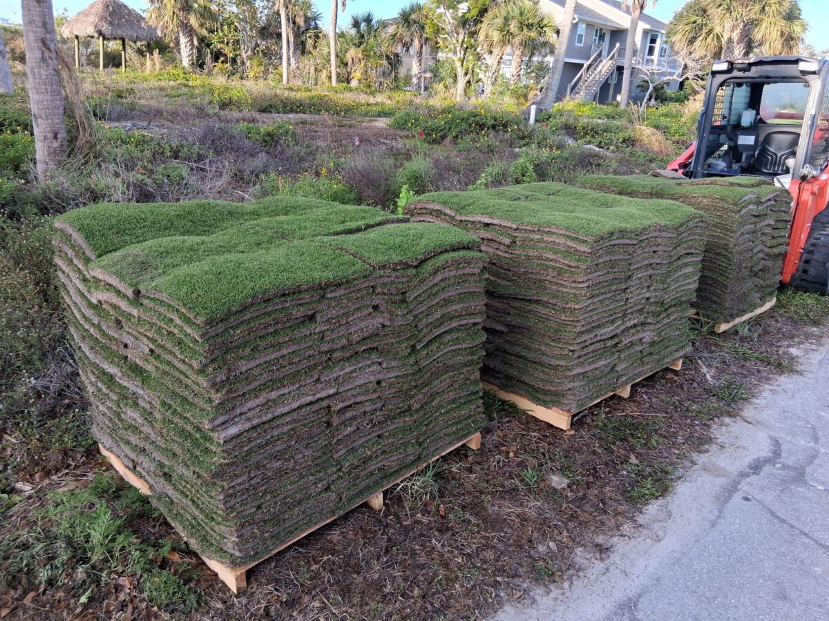 fresh sod delivery and installation planning by Sunshine Sod
