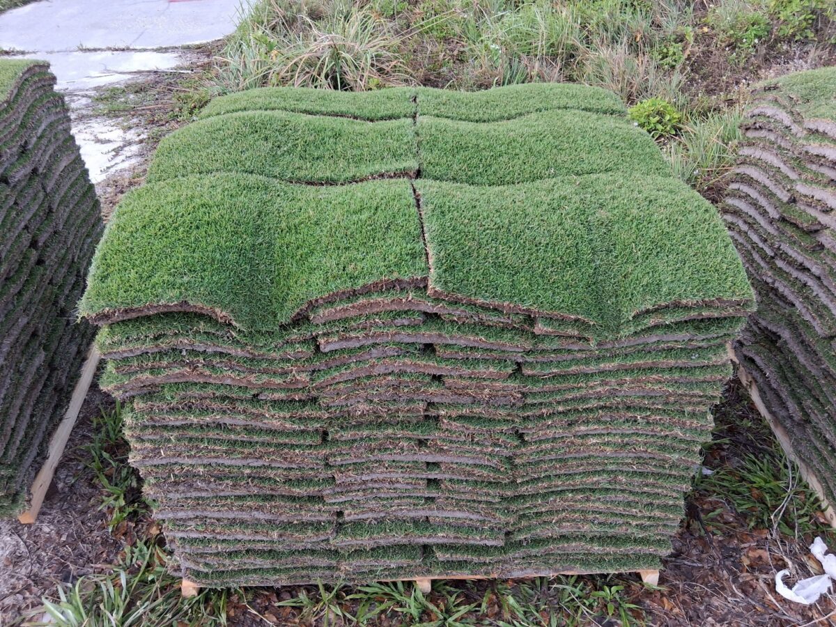 pallet of sod