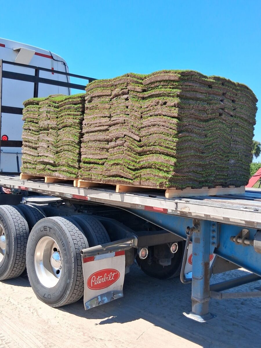 pallet of sod on the back of a truck