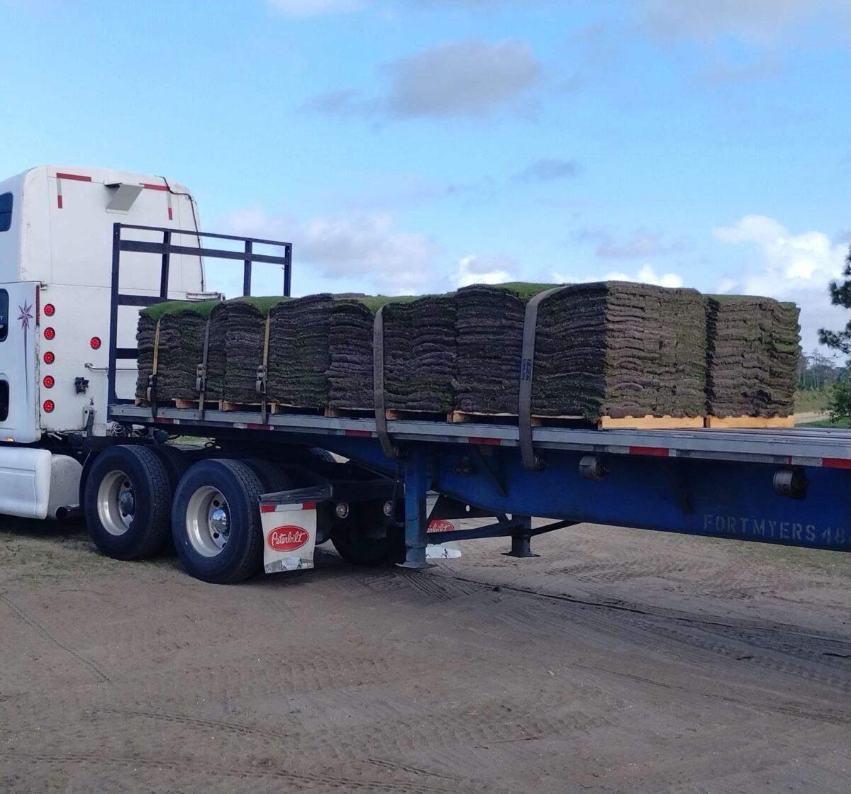 truck with sod