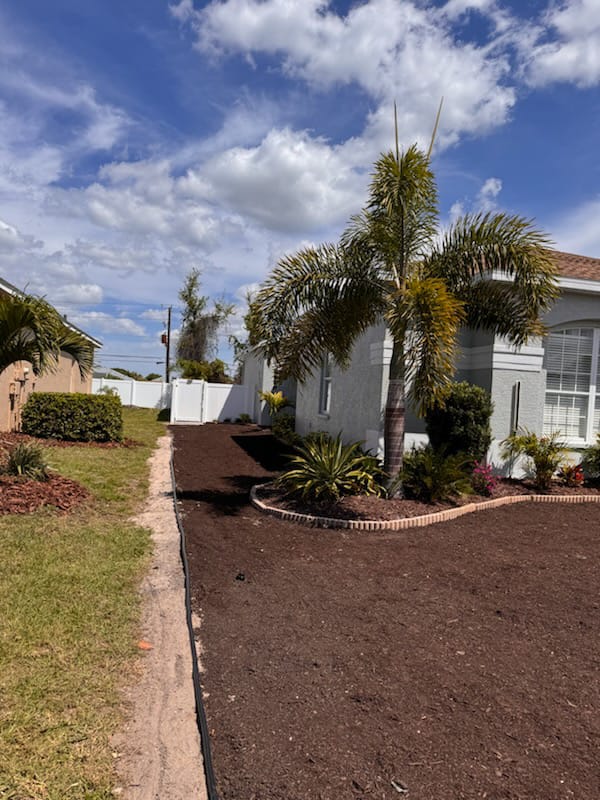 fresh sod being cut for lawn patch repair