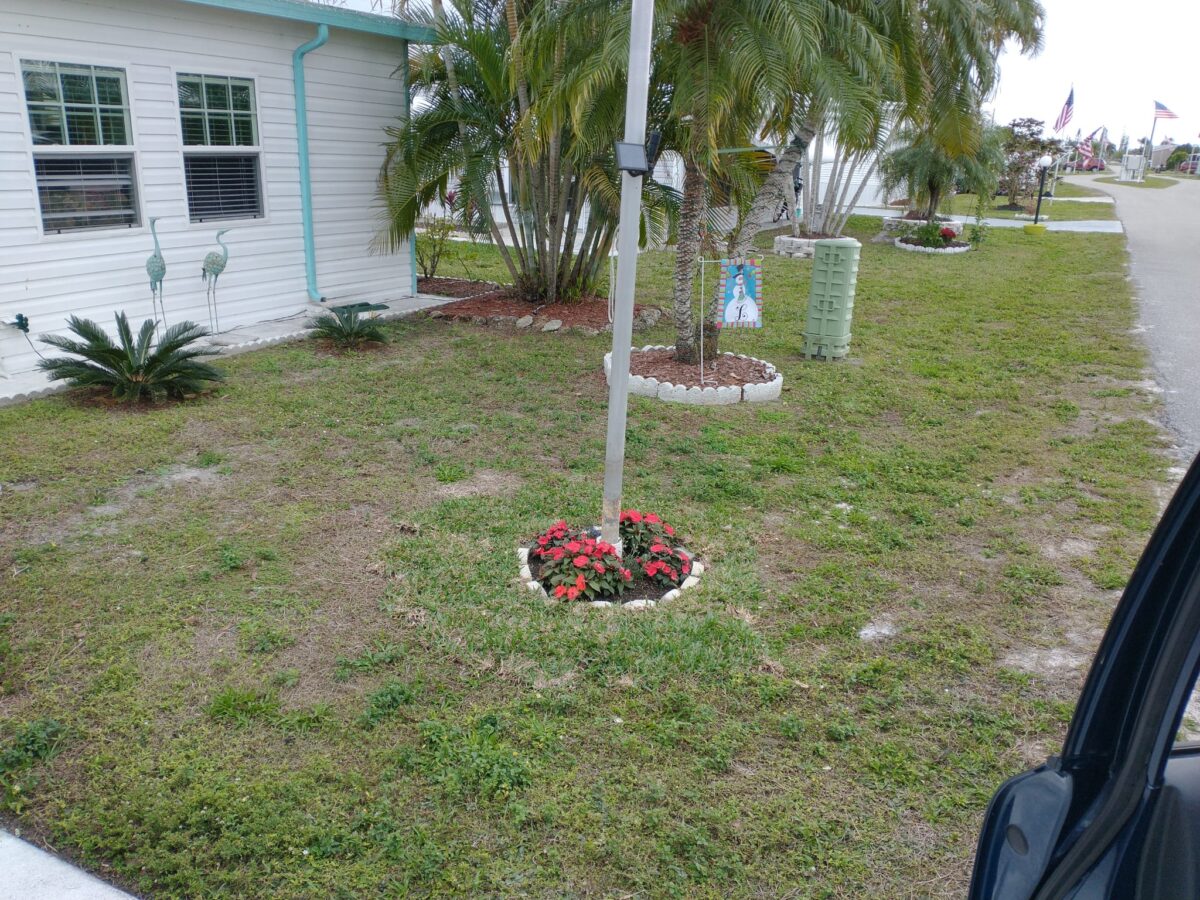 Florida lawn patch repair project with new sod sections