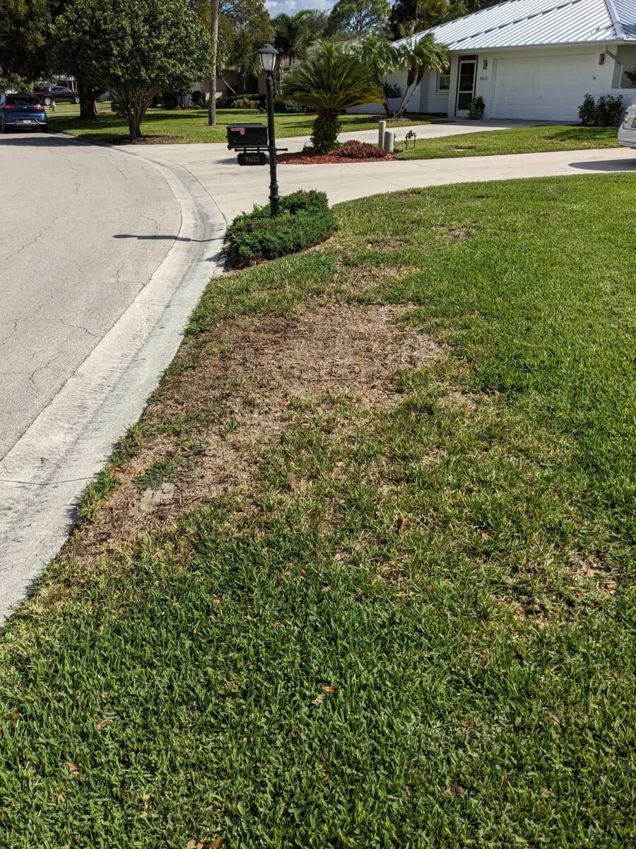 completed sod patch repair in Florida lawn