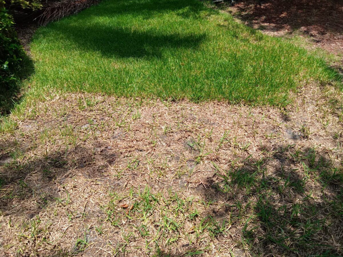 sod patch repair crew work area