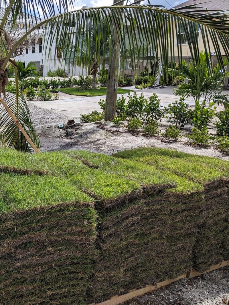 Freshly installed residential sod on a Florida property