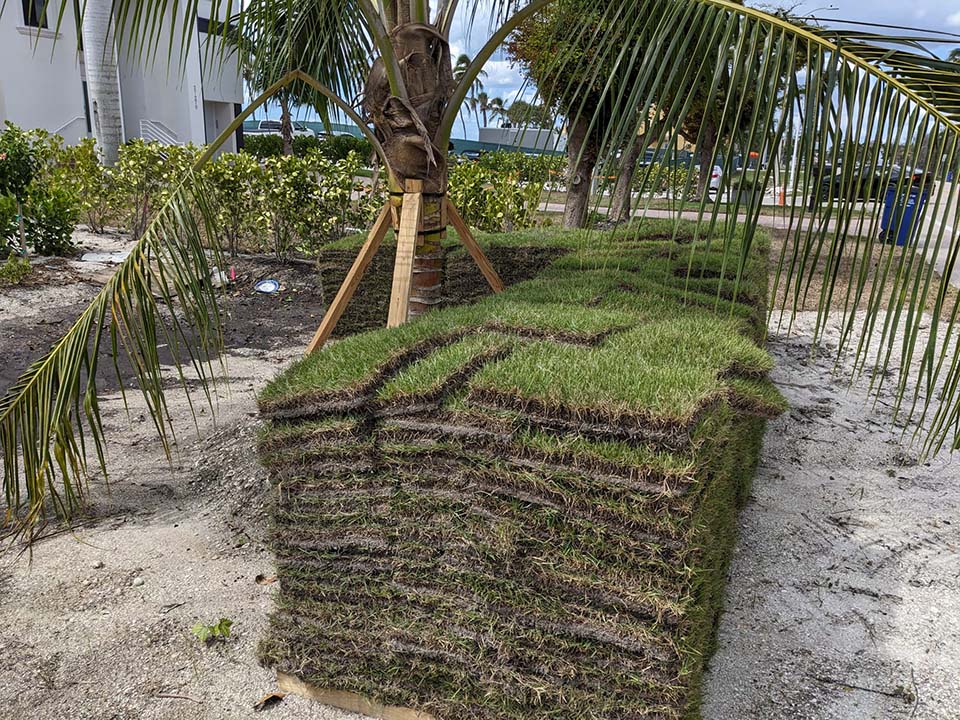 Pallets of fresh sod prepared for delivery