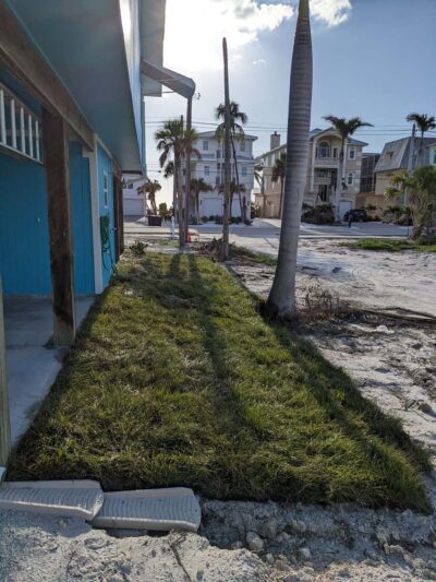Fresh sod being installed on a prepared Florida property
