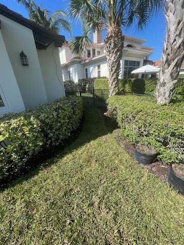 residential sod installation project