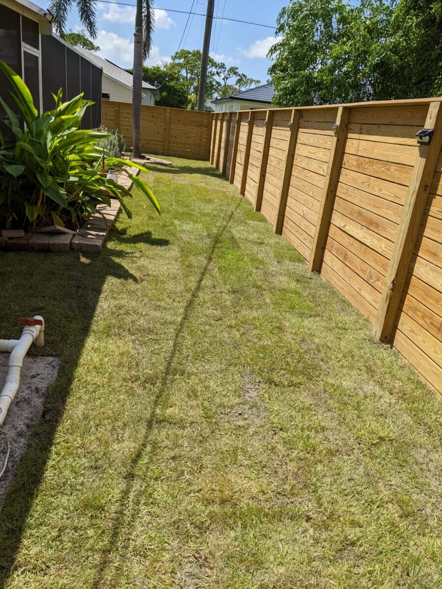 Residential lawn beside a wooden privacy fence and tropical plants