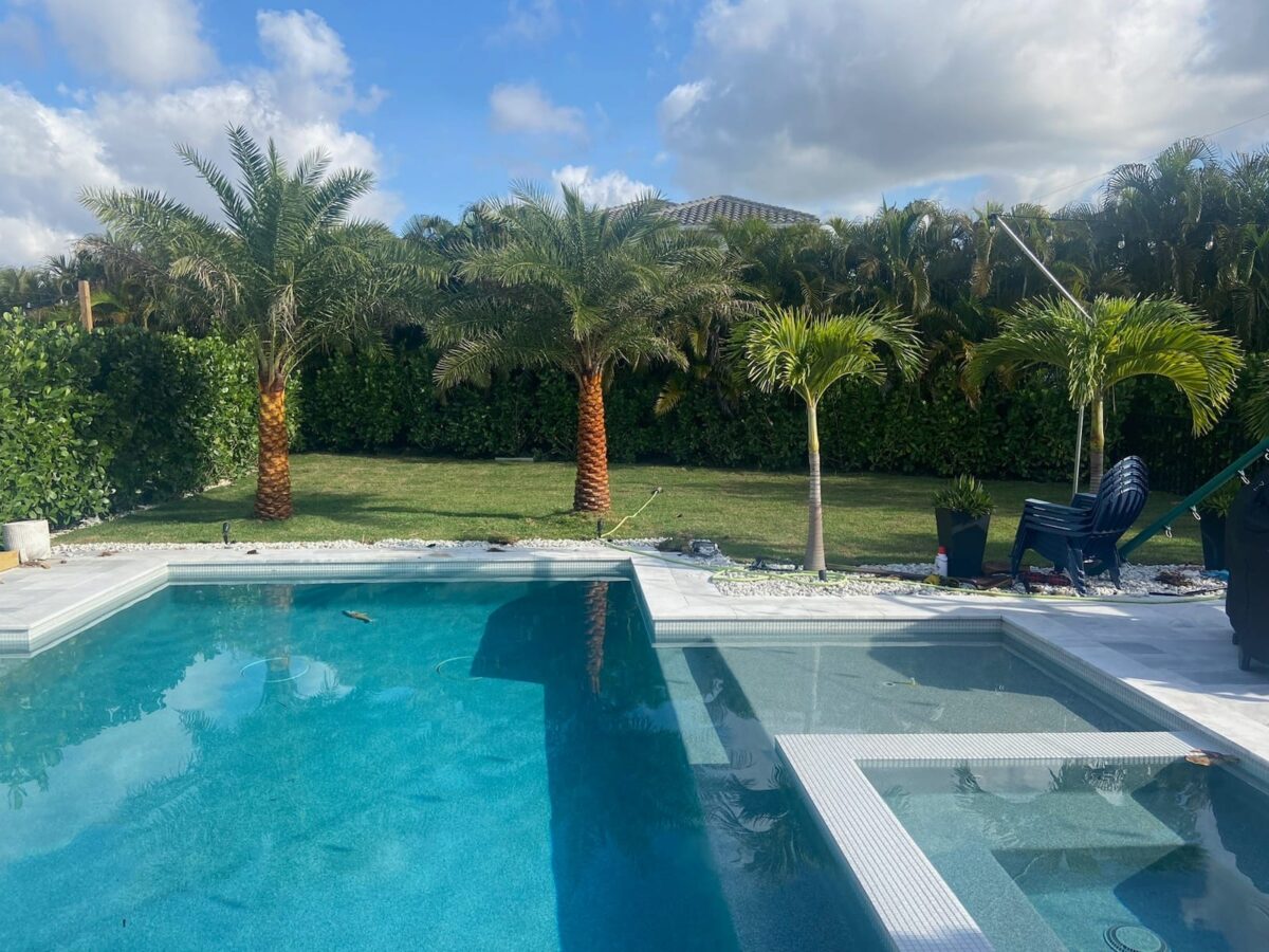 Swimming pool beside a landscaped lawn and palm trees