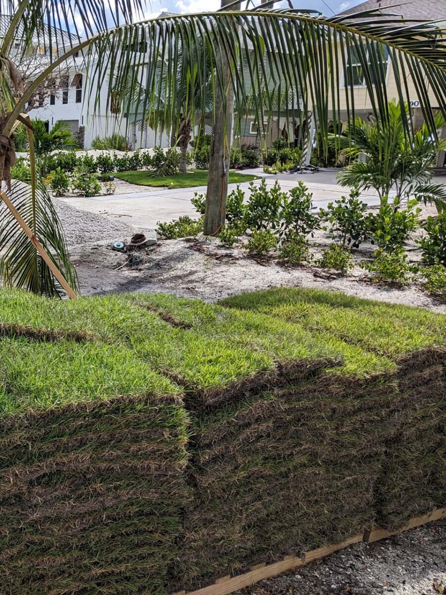 pallets of fresh sod