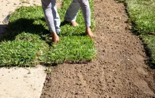 laying down sod