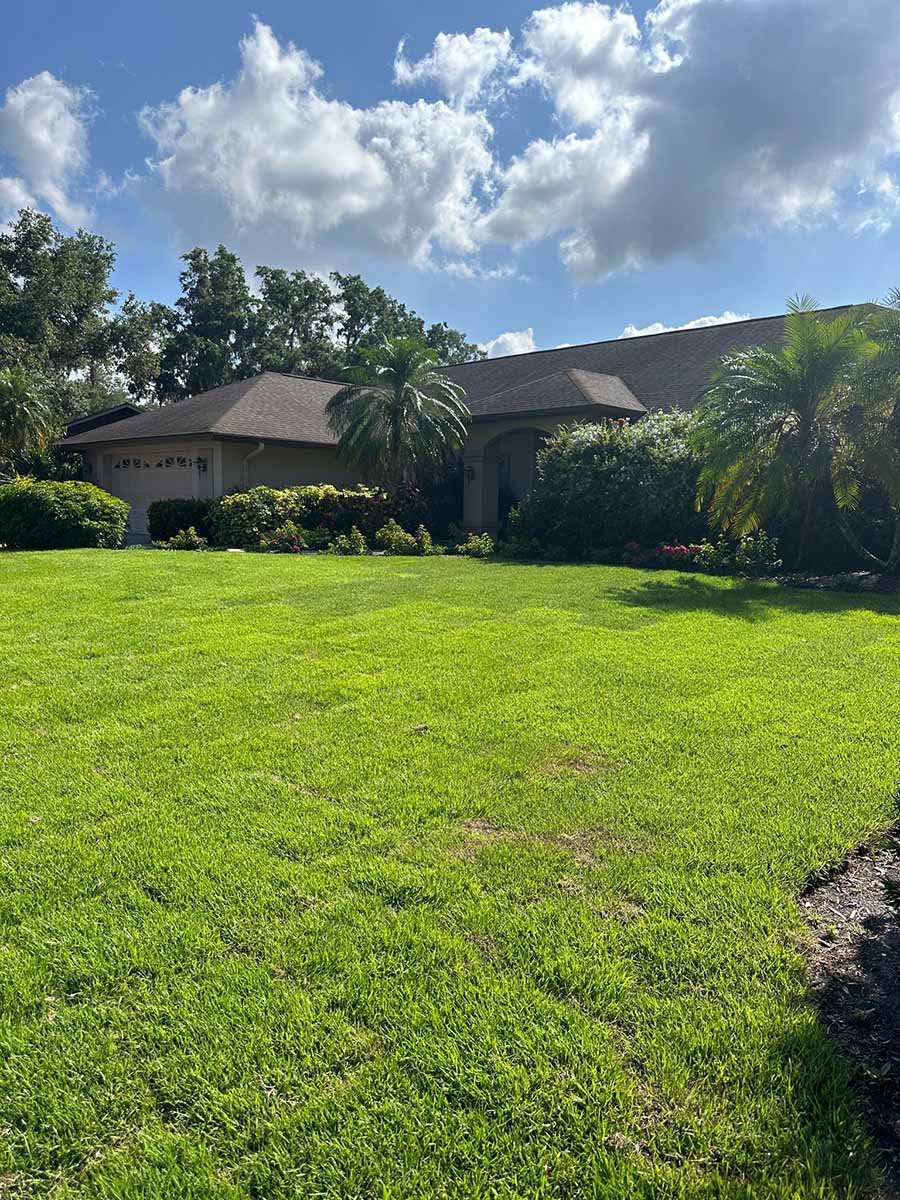 completed sarasota sod installation project