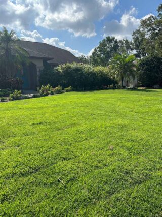 sarasota sod installation project