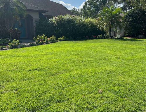 Expert Sod Installers in Florida Transforming Yards into Lush Outdoor Spaces